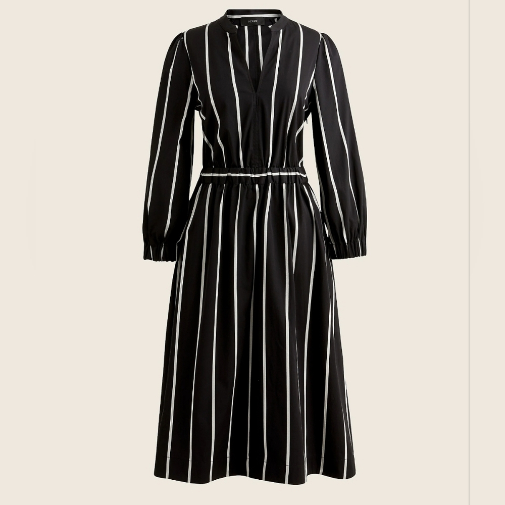 J Crew Cinched Waist Dress